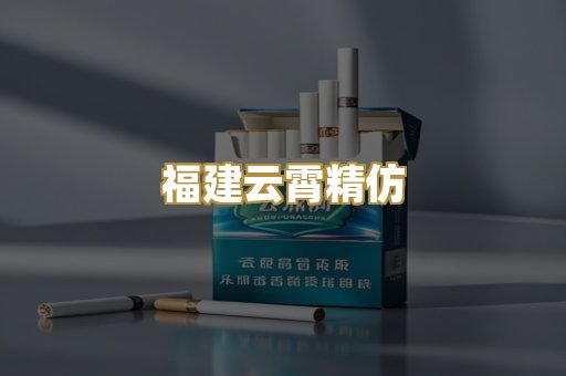 福建云霄精仿